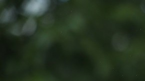 Rudy Giualini enfrenta una investigación federal.