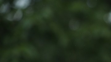 Rudy Giualini enfrenta una investigación federal.