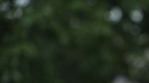 Rudy Giualini enfrenta una investigación federal.