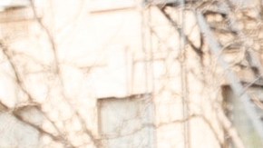 Cómo te ayudará el American Families Plan-GettyImages-1316853977.jpeg