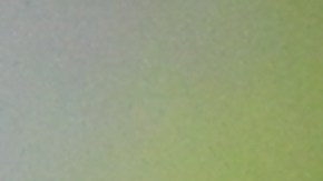 Flavien Prat montando a Rombauer celebra el triunfo, con John Velázquez (izq.) atrás.