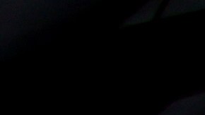 El precio del dogecoin se dispara y alcanza su máximo histórico-GettyImages-487845095.jpeg