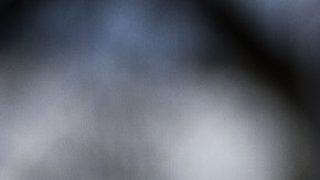 Fallece Paul Van Doren, cofundador de Vans-GettyImages-632421900.jpeg