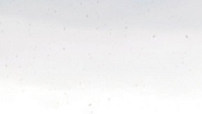 Varias corporaciones, incluida la Patrulla Fronteriza, participan en nuevo operativo contra "coyotes".