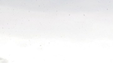 Varias corporaciones, incluida la Patrulla Fronteriza, participan en nuevo operativo contra "coyotes".