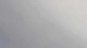 Gigantesca ballena de 115,000 libras aparece muerta en playa del sur de California