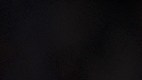 Harry Kane expreso su deseo de marcharse del Tottenham