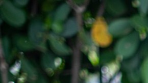 Carolina Sarassa nuevamente embarazada