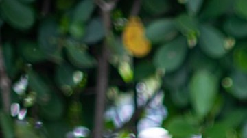 Carolina Sarassa nuevamente embarazada