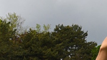 Los sudamericanos Lautaro, Vidal y Alexis estuvieron animados.