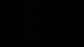 El nocaut de Jiri Prochazka que le da la vuelta al mundo