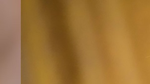 La creación de empleo ayudó a que, en el primer trimestre de la presidencia de Biden, la economía creciera a una tasa del 6.4%.