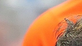 El jardinero de 32 años estará en la lista de lesionados.