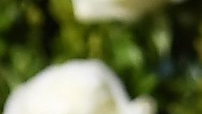 Kevin Spacey vuelve al cine después de 4 años de ausencia por las acusaciones de acoso y abuso sexual.