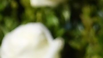 Kevin Spacey vuelve al cine después de 4 años de ausencia por las acusaciones de acoso y abuso sexual.