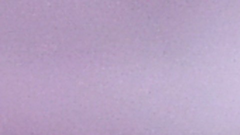 Messi finalizó su temporada con el Barcelona