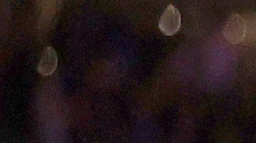 Fanatico es baneado del MSG por escupirle a Trae Young