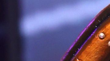 Miss Panamá, Carmen Jaramillo, tropezó y por poco va a dar al suelo a días del Miss Universo.