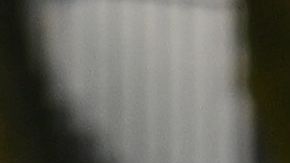 Varias protestas se han realizado en las Cortes de Viviendas en toda la ciudad pidiendo por la cancelación de las rentas durante la pandemia.