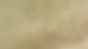 Nicky Jam preocupa a sus fanáticos por su extrema delgadez.