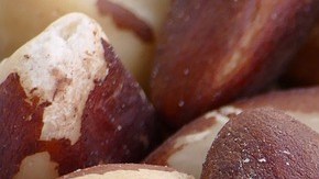 Nueces de Brasil