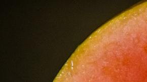 Papaya