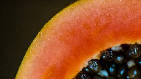 Papaya