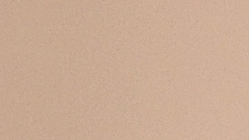 Presidente Joe Biden