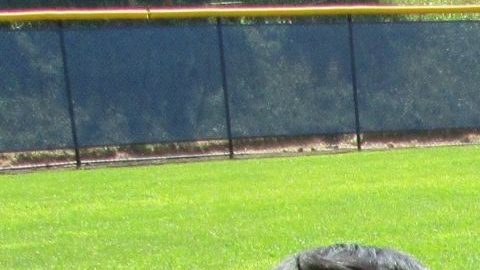 El Queens College lleva más de 30 años ofreciendo campamentos de verano para niños