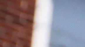 La nueva extensión protegerá a los inquilinos hasta el 31 de agosto.