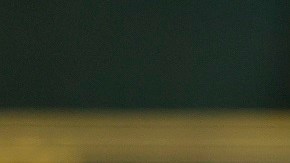 Los felinos celebran con Turnbull el quinto no hitter de la temporada.