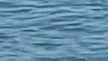 Paparazzi pilló a Kourtney Kardashian y Travis Barker en posiciones sugerentes en plena playa.