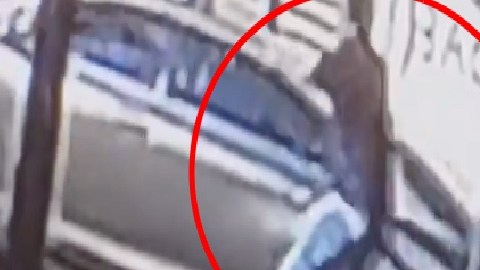VIDEO: Hombre dispara contra mujer y niño tras altercado de ira al volante en Washington