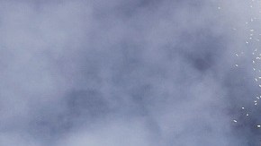 La Liga estará bien representada en la Liga de Campeones.