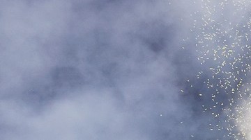La Liga estará bien representada en la Liga de Campeones.