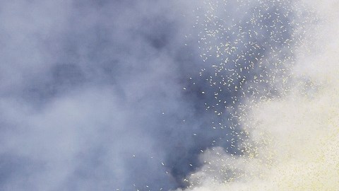 La Liga estará bien representada en la Liga de Campeones.