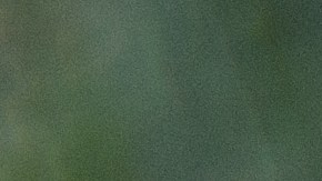 Muerte adolescente tío novia