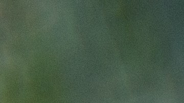 Muerte adolescente tío novia