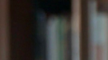 Según se ha reportado, el administrador de Gates ha creado una cultura del miedo en su empresa, en donde aparentemente ha tenido un comportamiento indebido.