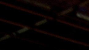 En total, el pequeño terminó ordenando 51 cajas que contienen 918 paletas heladas de Bob Esponja.