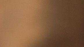 Boda en avión en India