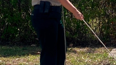 Capturan caimán en Florida