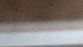 Buscaba comida en la basura y se volvió modelo