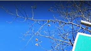 Vecindario Co-Op City, El Bronx, NYC