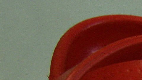 Se calcula que más de 3,600 trabajadores de la salud murieron durante el primer año de la pandemia del COVID-19.