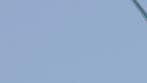 La escena provocada por la pasajera ocasionó que la aeronave volviera a su punto de partida.