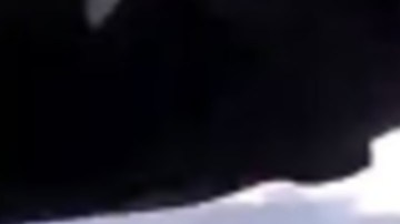 Adrián de la Garza.