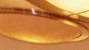 El sándwich se venderá en un nuevo restaurante llamado Marvel Land's Pym Test Kitchen.