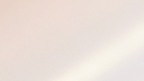 Elon Musk es conocido por ser un defensor de las criptomonedas.