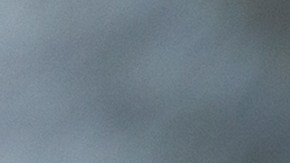 Empleado afroamericano discapacidad esclavo